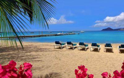 Dive Nevis Partners With Oualie Beach Resort