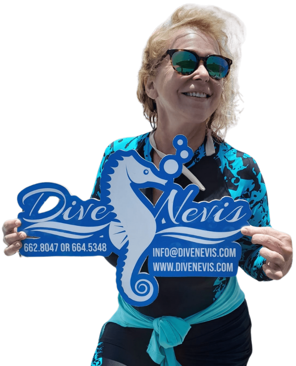 Snorkel Safari Dive Nevis St Kitts snorkel-safari-dive-nevis-st-kitts