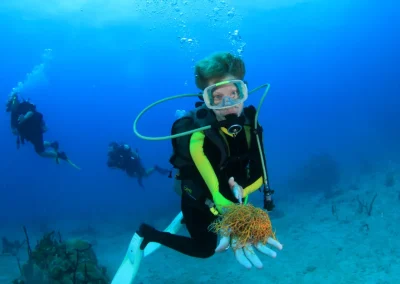 Scuba diving